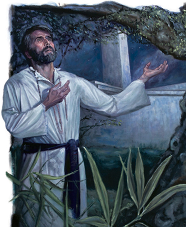 Иллюстрация, страница 116